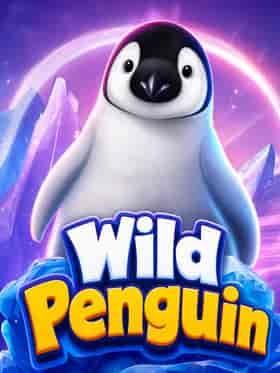 spinomenal/wild-penguin