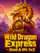 Wild Dragon Express - Hold & Hit 3x3