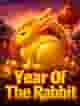 Year Of The Rabbit